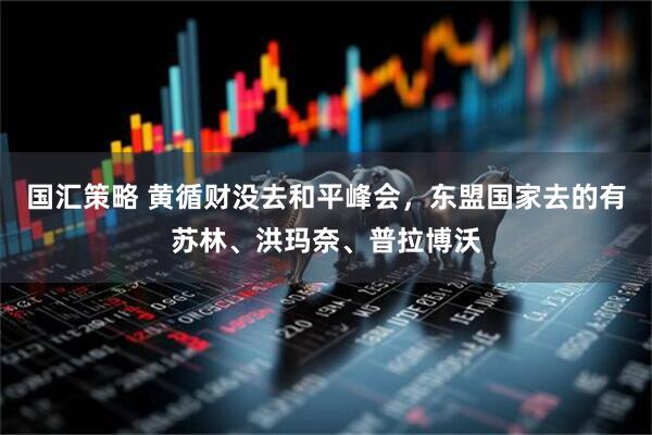 国汇策略 黄循财没去和平峰会，东盟国家去的有苏林、洪玛奈、普拉博沃