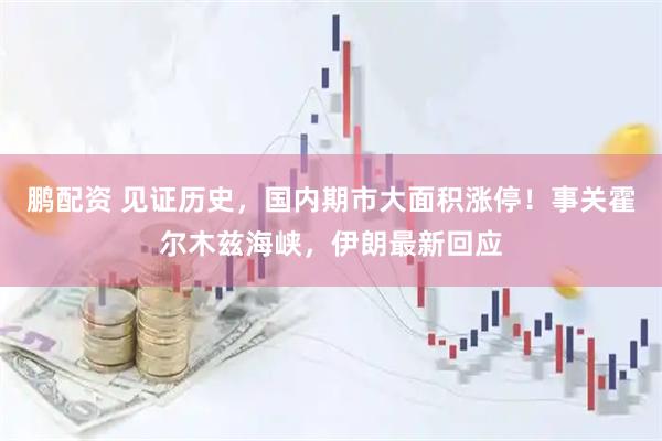 鹏配资 见证历史，国内期市大面积涨停！事关霍尔木兹海峡，伊朗最新回应