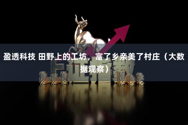 盈透科技 田野上的工坊，富了乡亲美了村庄（大数据观察）