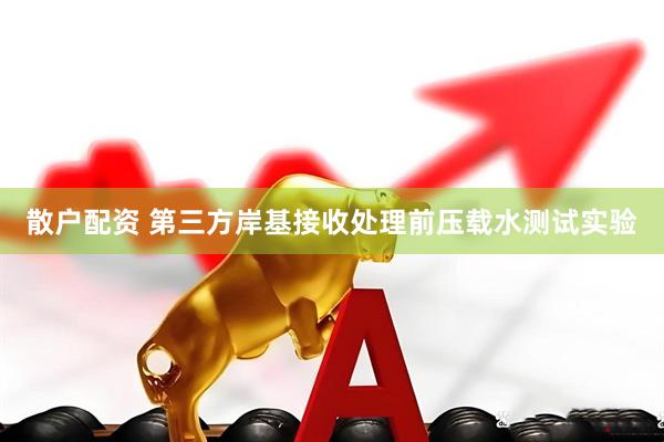 散户配资 第三方岸基接收处理前压载水测试实验
