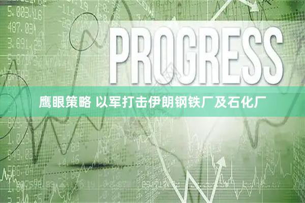 鹰眼策略 以军打击伊朗钢铁厂及石化厂