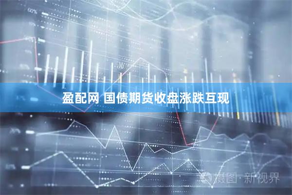 盈配网 国债期货收盘涨跌互现