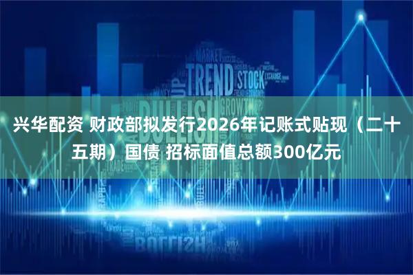 兴华配资 财政部拟发行2026年记账式贴现（二十五期）国债 招标面值总额300亿元
