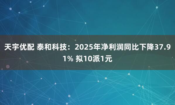 天宇优配 泰和科技：2025年净利润同比下降37.91% 拟10派1元