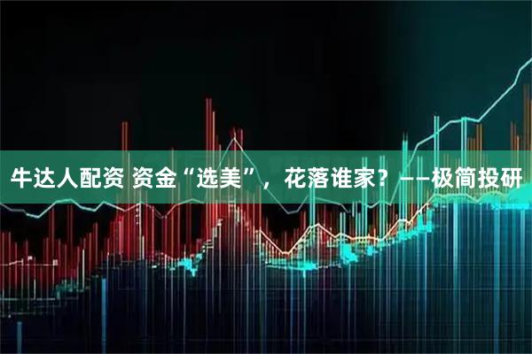 牛达人配资 资金“选美”，花落谁家？——极简投研